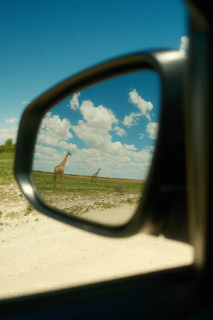 giraffes in rearview mirror on a safari in Namibia