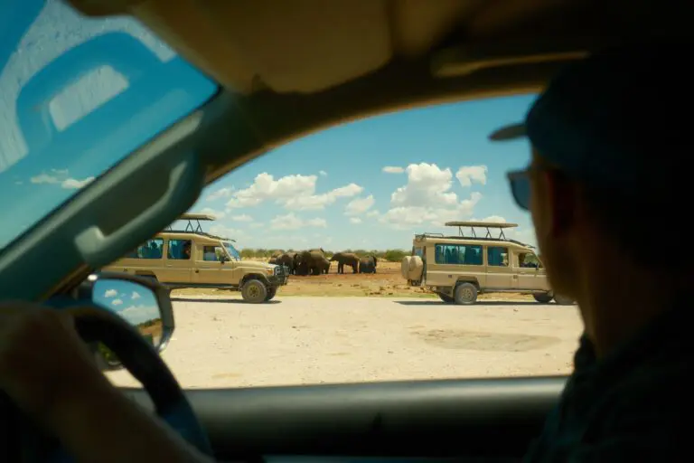 driver's view of safari vehicles and elephants in Namibia
