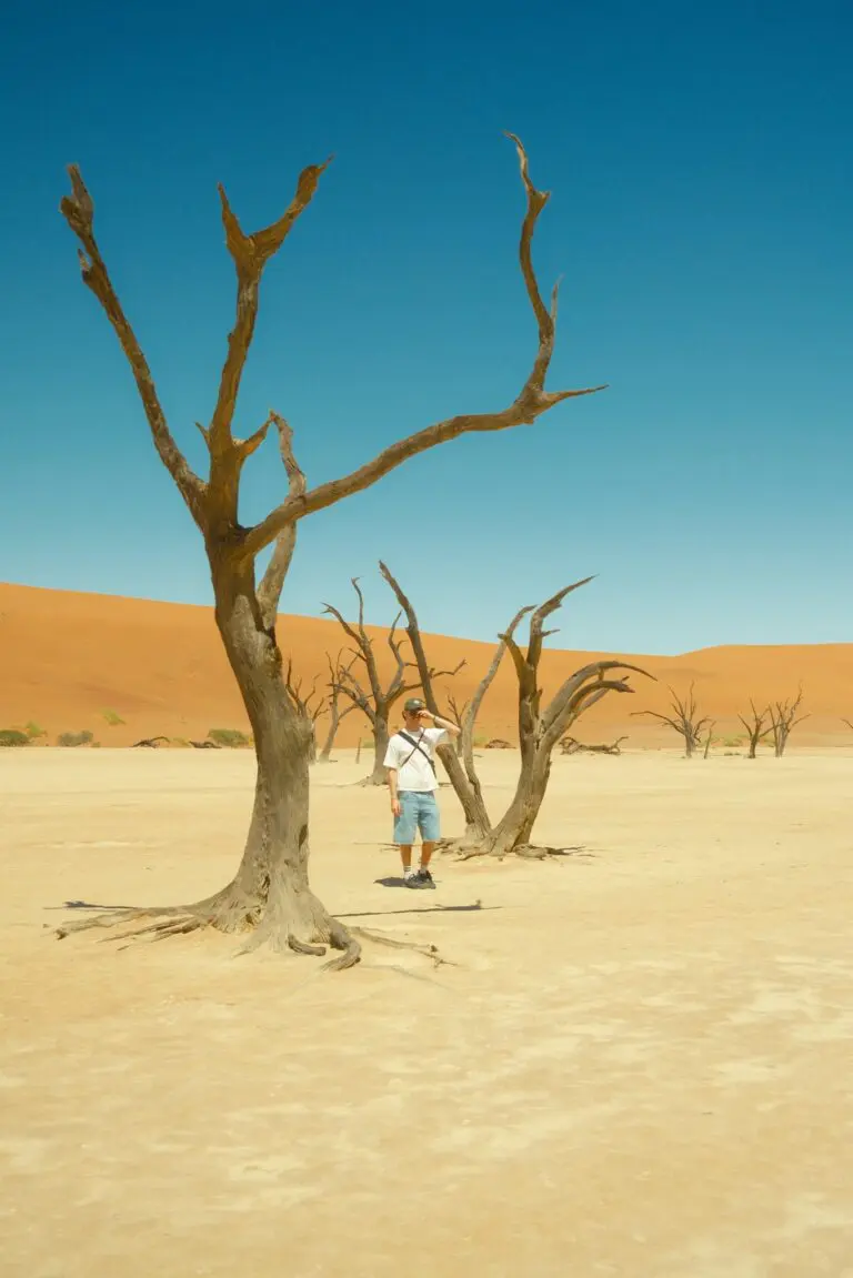 man standing among dead trees in Namibian desert