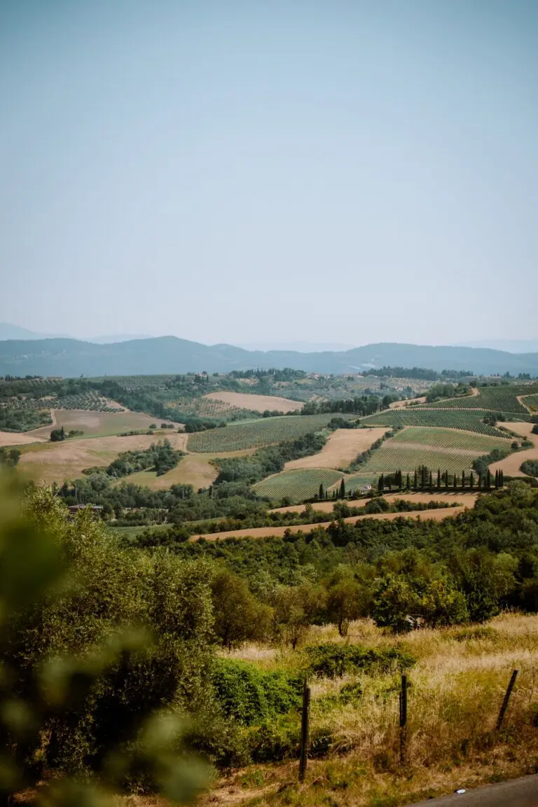 rolling hills and vineyards in the Chianti region of Tuscany