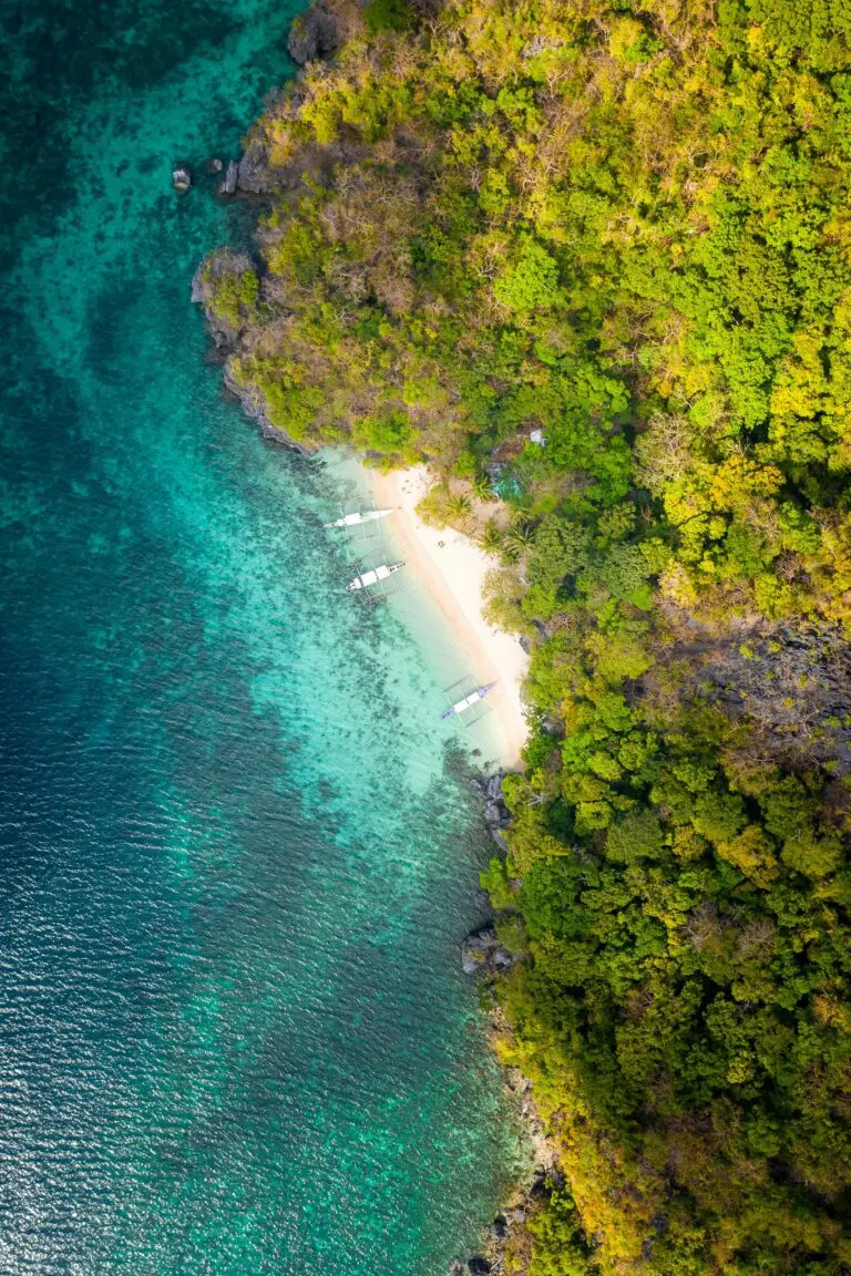 aerial view of tropical beach with boats and lush green forest