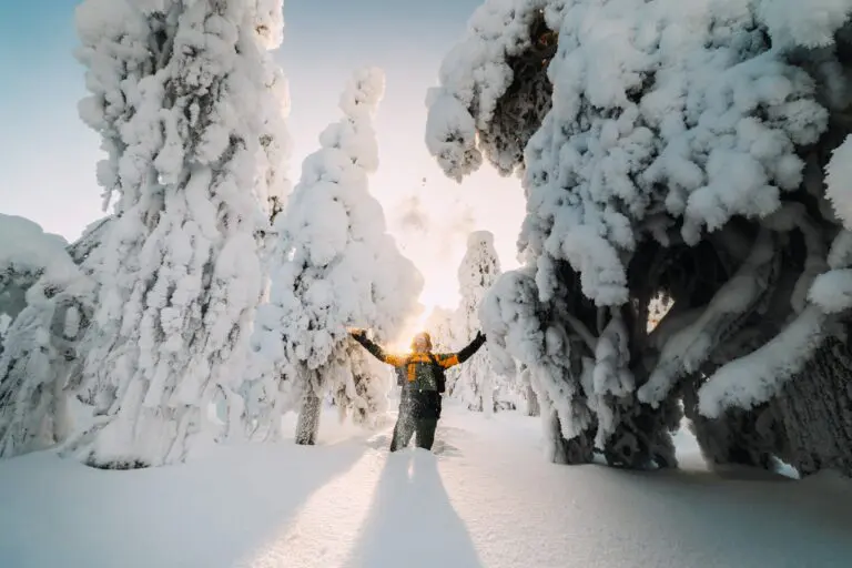 person with arms outstretched in snowy Lapland forest at sunrise