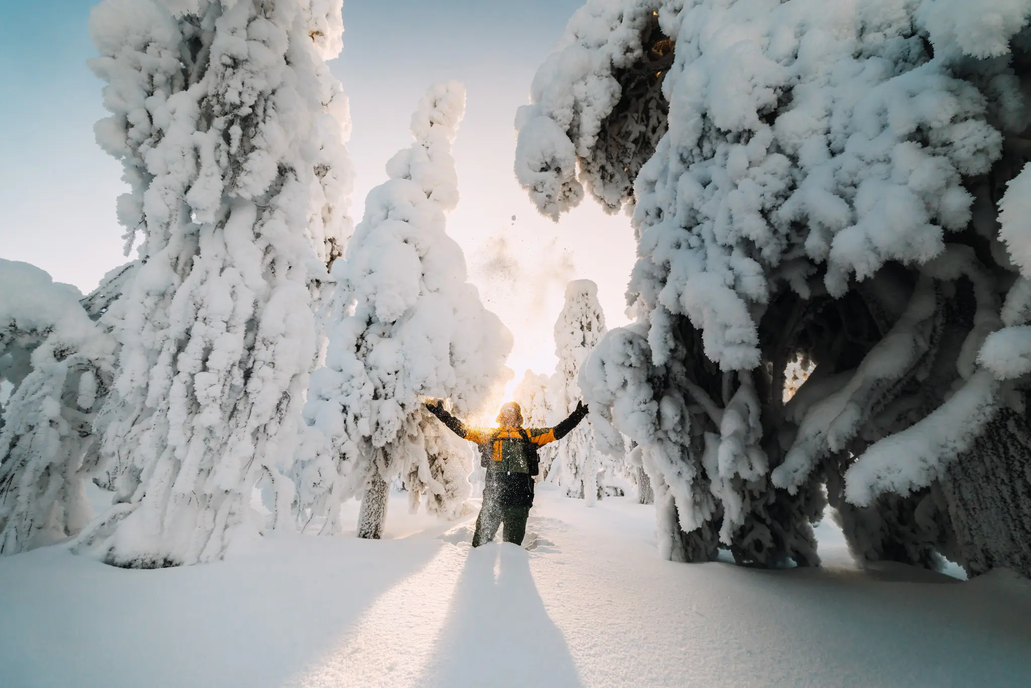 person with arms outstretched in snowy Lapland forest at sunrise