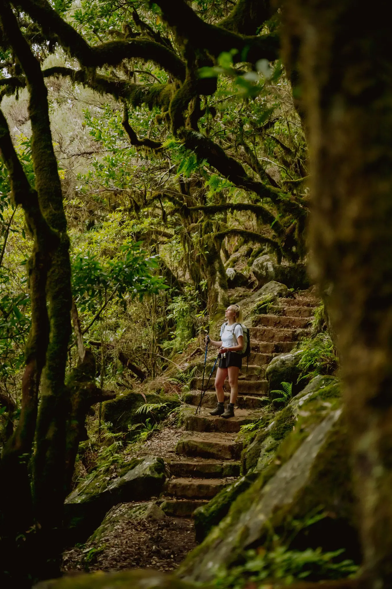 hiker on ancient stone steps in a lush green forest
