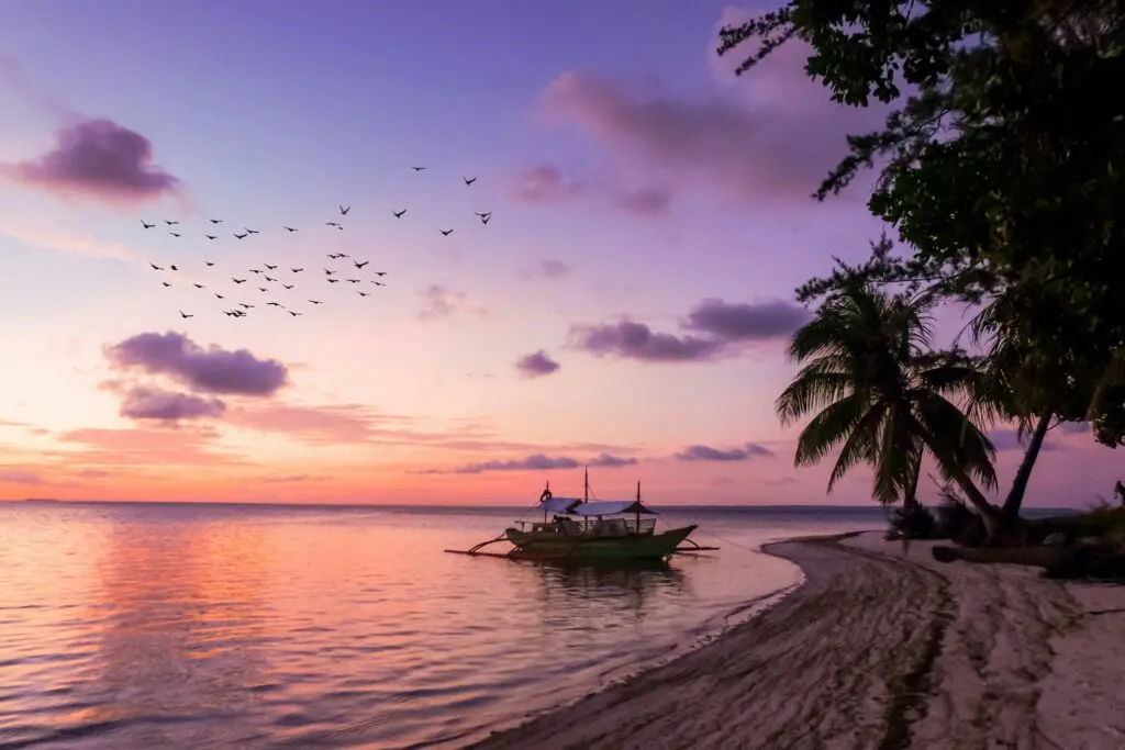 traditional boat on a beach at sunset with birds flying